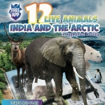 [로봇사이언스몰][증강현실/가상현실] 인도와 북극의 동물(Live animals India and Arctic)