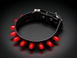 [로봇사이언스몰][Adafruit][에이다프루트] Punk LED Collar Kit - Red LEDs  ID:1454