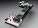 [로봇사이언스몰][라즈베리파이] Adafruit Assembled Pi Cobbler Breakout + Cable for Raspberry Pi id:914